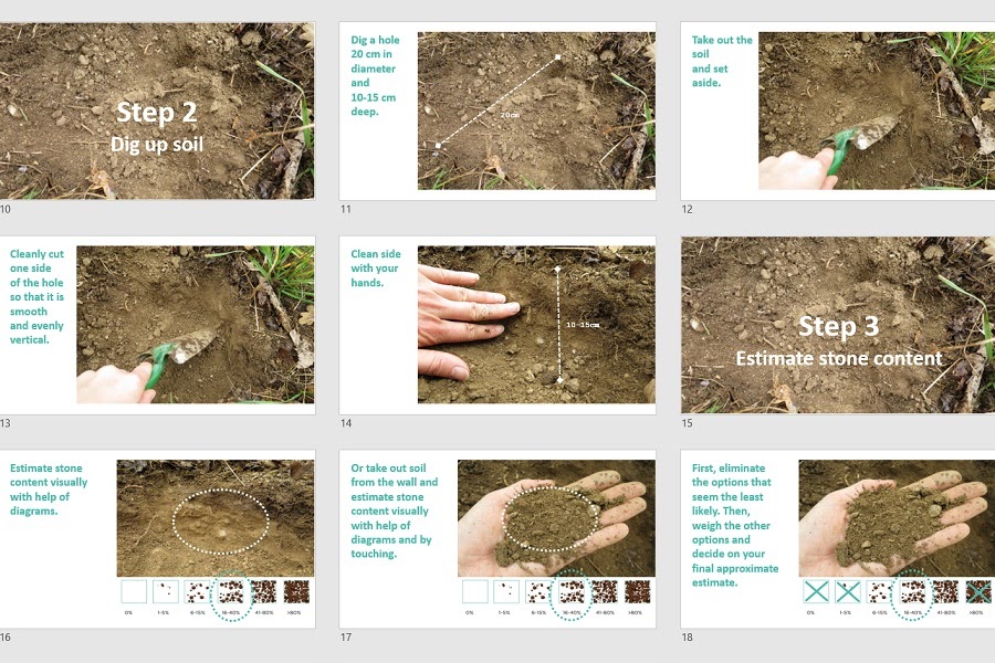 Step by step instructions on how to carry out a soil survey