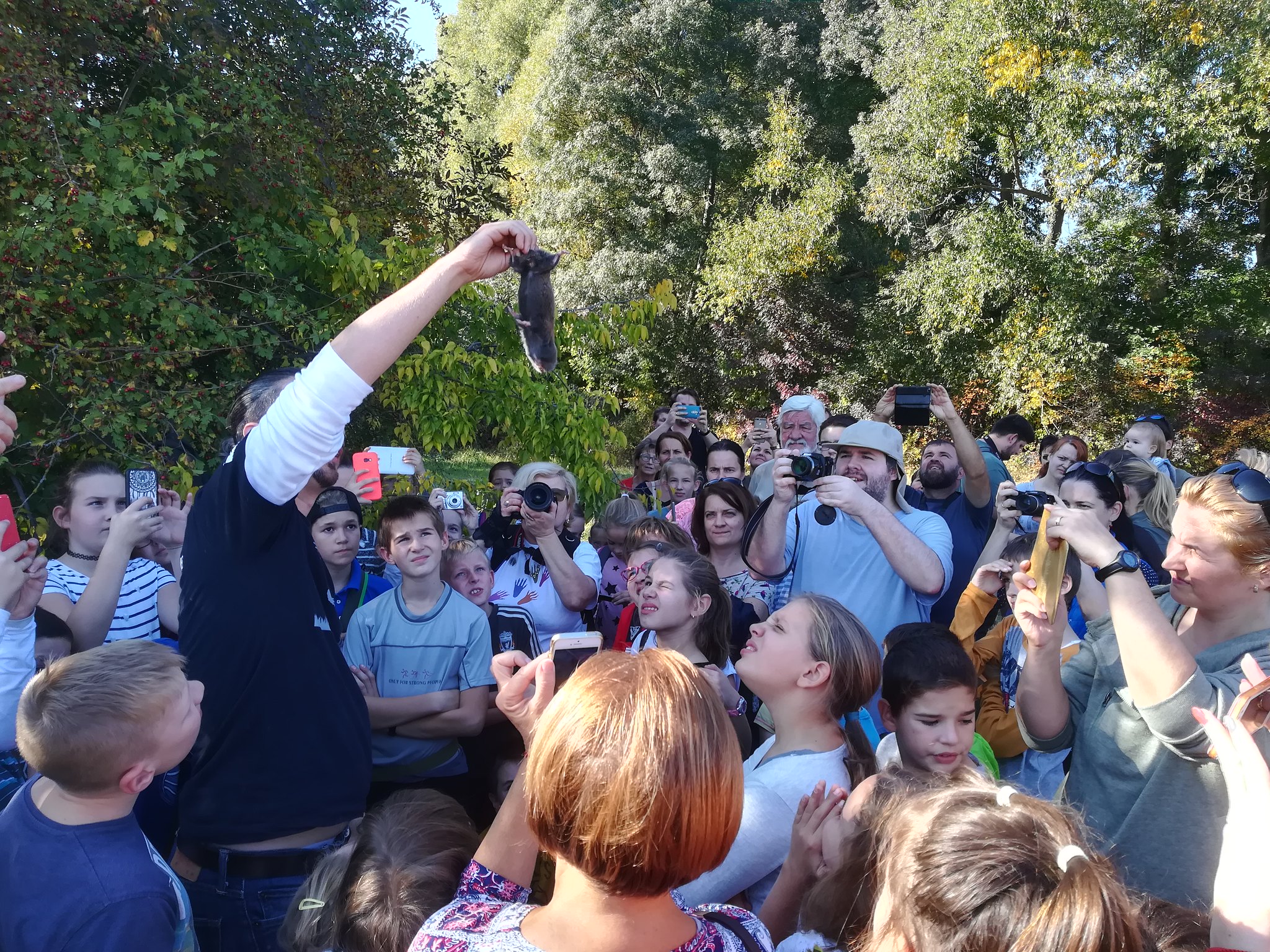 Kutatóknak a ‘Citizen Science’ megközelítésben rejlő lehetőségekről