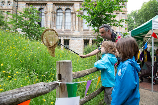 A facilitator demonstrating how to use a sweep net at a BioBlitz event. This opens up an opportunity for these children to learn the correct use of the tool available to them