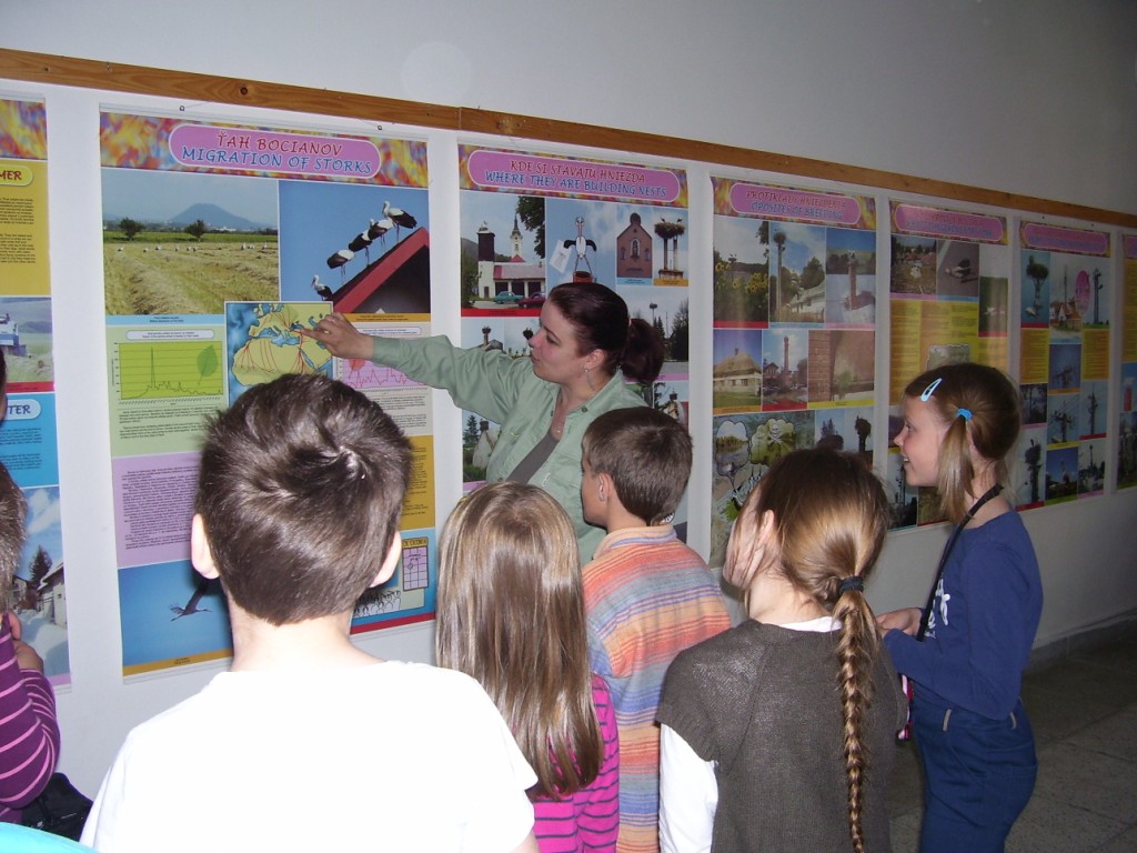 Ekovýchovný program Bocian - zapojenie žiakov základných škôl do monitoringu hniezdenia bociana bieleho. Výstava posterov a prác žiakov z monitoringu hniezdenia bociana bieleho na Slovensku. 