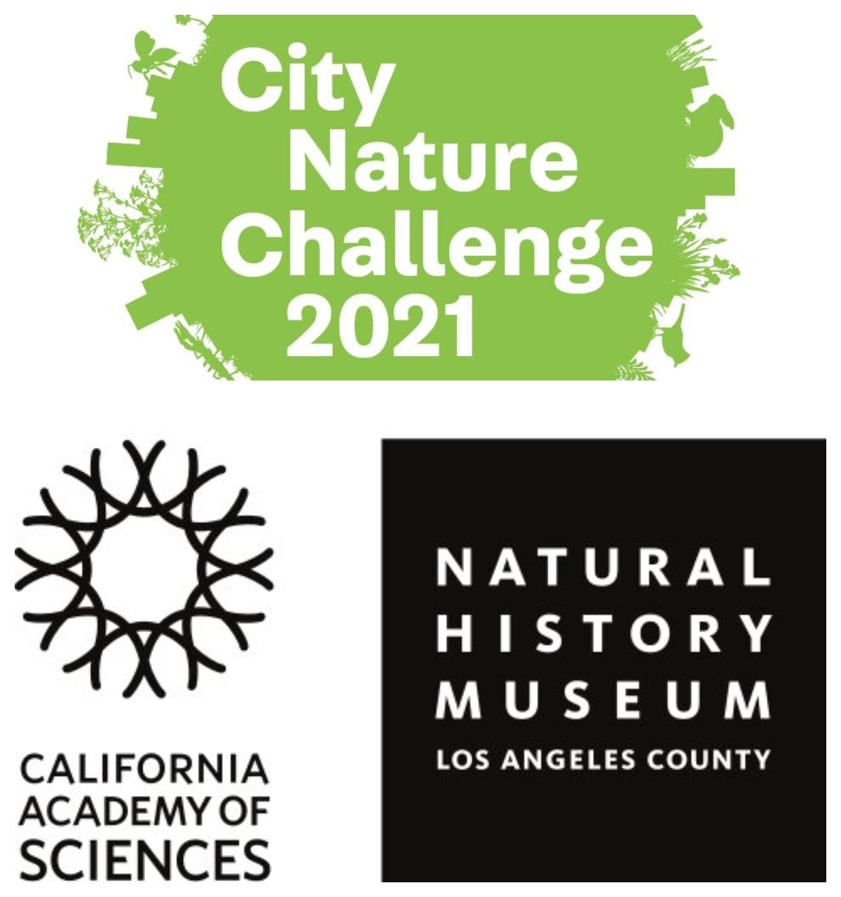 Logo City Nature Challenge 2021 písané bielou farbou na zelenom podklade znázorňujúcom zelenú zem po obvode lemovanú rastlinami a živočíchmi. Logo California Academy of Sciences písané čiernou farbou na bielom podklade a nad názvom sú slučky prepletené medzi sebou do kruhu, Logo Natural History Museum of Los Angeles County písané bielym písmom na čiernom štvorcovom podklade.