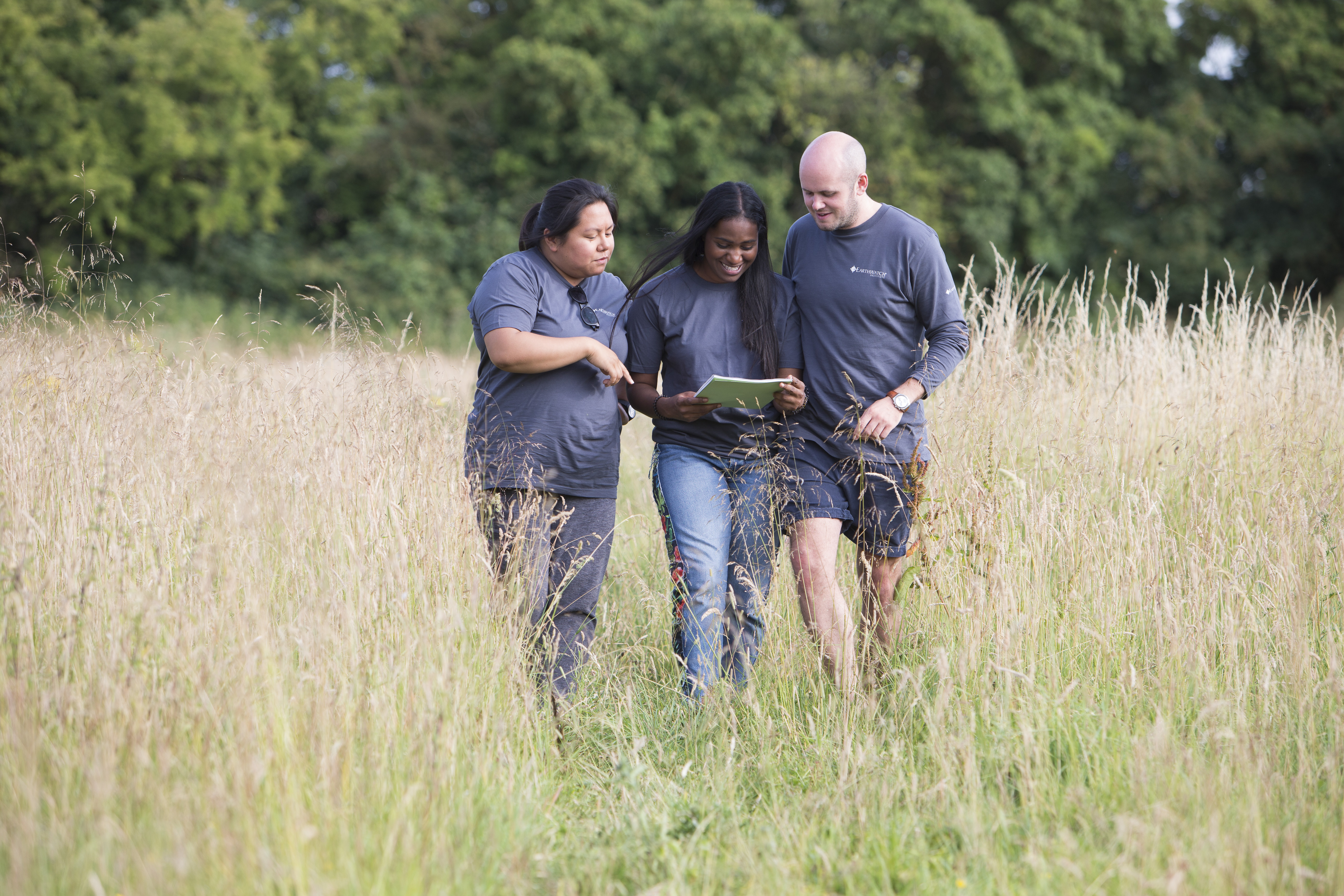 Three people walking through tall grass in a field. They are all looking at an A4 notebook that the middle person, a woman, is holding. 