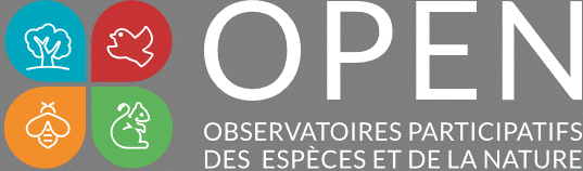 OPEN logo