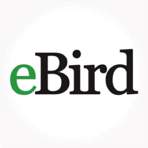 ebird logo