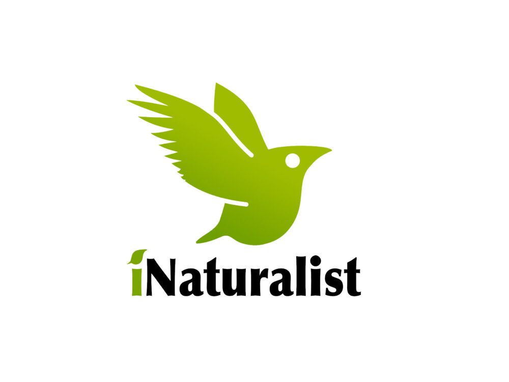 inaturalis logo