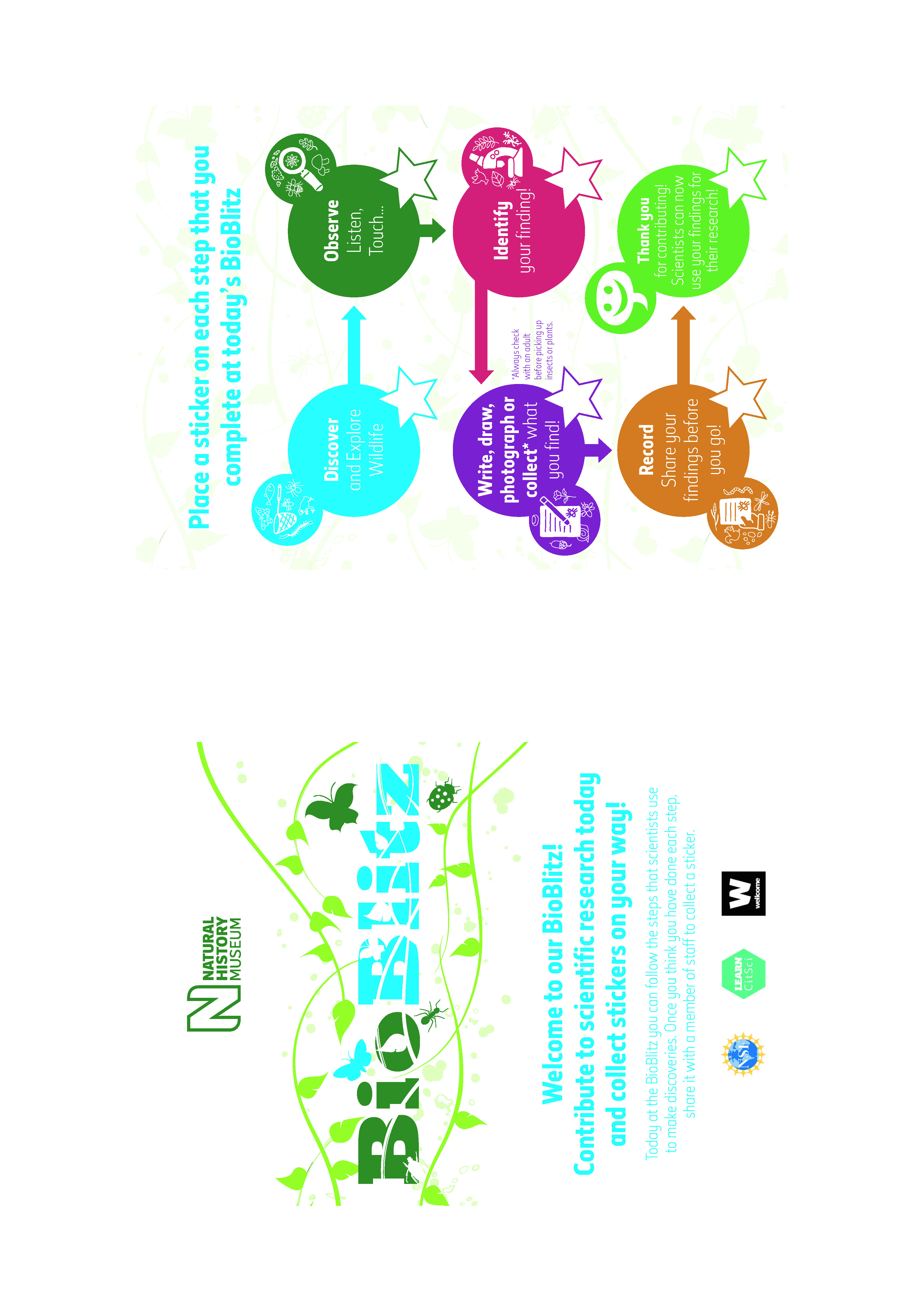 An example of a bioblitz activity card designed by the Natural History Museum in London for the LearnCitSci project